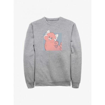 Disney Pixar Turning Red Cute Grey Sweatshirt for Men