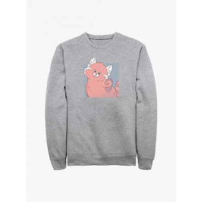 Disney Pixar Turning Red Cute Grey Sweatshirt for Men