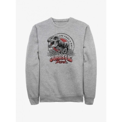 Jurassic Park T-Rex Adventure Grey Hoodie - Men's Sizes