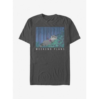 Disney Meeko Pocahontas Unisex Grey T-Shirt