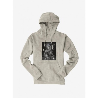 Teenage Mutant Ninja Turtles Donatello City Defender Men's Hoodie